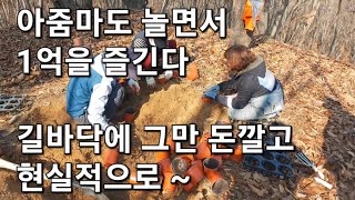 1억 만들기 시골 아줌마 할머니 놀면서 즐기는 임산물 재배방법 남자들은 길바닥 다깔고 인건비 장비대 지원사업 대출금 갚다가 볼일끝 퇴직금 재산탕진 결국은 나는 자연인 땡중생활 [upl. by Misa]