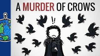 Why Is A Group Of Crows Called A “Murder” [upl. by Fachan770]