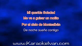 Lila Downs  La Cumbia Del Mole KARAOKE [upl. by Qiratla]