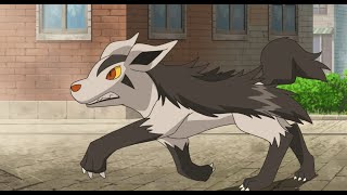 Mightyena destroys broken VGC teams 🐕🪓 [upl. by Akimed]