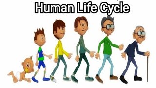 Life Cycles  KS1 Science  STEM and Beyond [upl. by Niwri378]