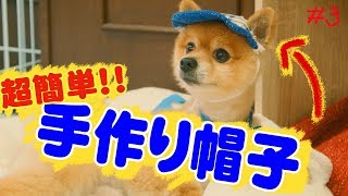 愛犬のためのDIY！簡単ワンちゃん帽子を作っちゃおう！【ドッグパッドチャンネル】 ＃３ [upl. by Alakim]