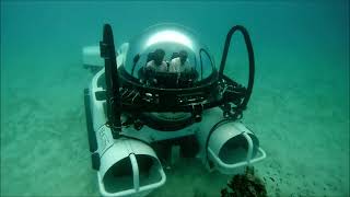 SEAmagine Submarine Diving in the Maldives [upl. by Hplodnar215]