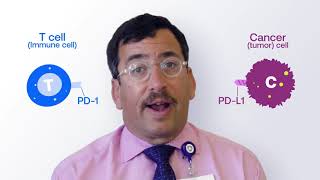 Explaining Immunotherapy PDL1 and PD1 [upl. by Roobbie]