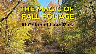 Magical Autumn Colors Fall Foliage at Colonial Lake Park [upl. by Umont]