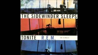 The Lions Sleeps Tonight by REM [upl. by Bohlin]