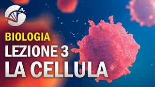 BIOLOGIA  Lezione 3  La Cellula Eucariota [upl. by Rachele]