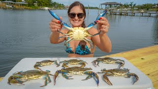 BIG CRABS off The DOCK Catch Clean amp Cook Florida Blue Crab [upl. by Azelea]