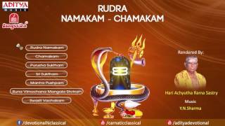 Rudra Namakam Chamakam by Y N Sharma YouTube [upl. by Emalia]