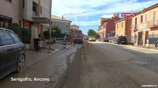 LIVE Alluvione nelle Marche danni a Senigallia diretta video [upl. by Guidotti238]