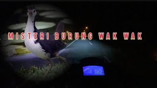 Kisah Malam Burung Wak Wak [upl. by Cris]