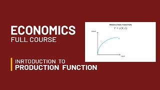 Production Function  Inputs Outputs and Economic Analysis [upl. by Verras]