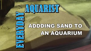 2 Tips for Cleaning and Adding Sand to an Aquarium [upl. by Stoat99]