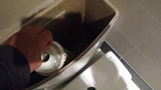 Fix a leaking Geberit toilet flush valve  Update [upl. by Askwith263]