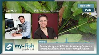 myfishorg  Beleuchtung und CO2 für Aquarienpflanzen – Versorgung und ErnährungMWHildebrand [upl. by Eirrotal]