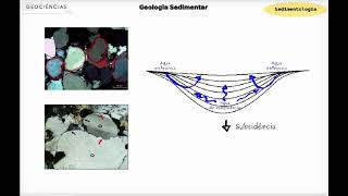 Sedimentologia  Litificação e Diagênese [upl. by Wurst571]