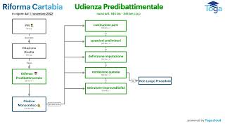 Udienza predibattimentale 544 bis cpp [upl. by Clorinde]