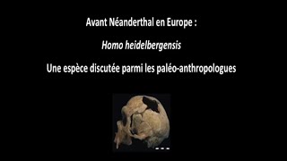 Avant Néandertal en Europe  Homo Heidelbergensis 13 [upl. by Berthe595]