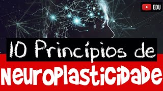 NEUROPLASTICIDADE 10 Princípios que você precisa conhecer [upl. by Aes]