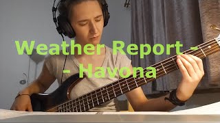 Weather Report  Havona  bass cover [upl. by Llerud]