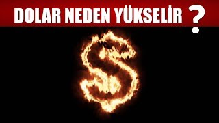 DOLAR NEDEN YÜKSELİR  DÖVİZ NEDEN YÜKSELİR [upl. by Briscoe]