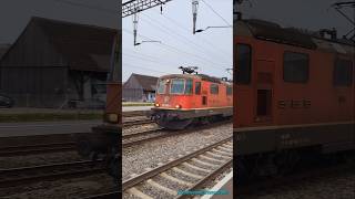 SBB Güterzug beim Bahnhof Rupperswil  Kanton Aargau  Schweiz 2024  shorts [upl. by Nevarc]