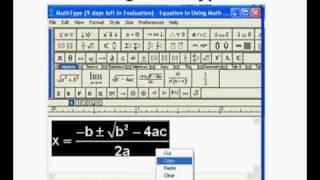 Using Math Type [upl. by Ulita]