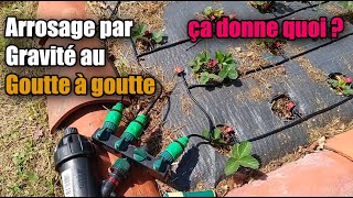 Système darrosage au goutte à goutte par gravité [upl. by Sonitnatsnok794]