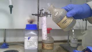 Solid Halides with Concentrated Sulfuric Acid [upl. by Ozen]