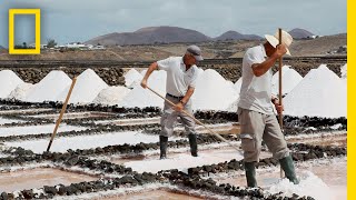 Ever Wonder How Sea Salt Is Made Find Out Here  National Geographic [upl. by Bywoods]