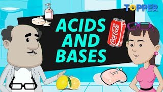 Acids and Bases  Class 7th Chemistry [upl. by Nosyaj]