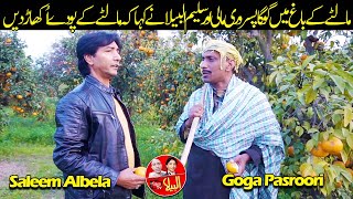 StandUp Comedy at Orange Garden  Saleem Albela and Goga Pasroori Funny [upl. by Eittak]