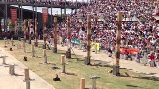 World Tree Felling Championship Final [upl. by Aititel]