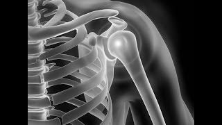 Öffentlicher Vortrag Der Sehnenriss an der Schulter [upl. by Elamaj]
