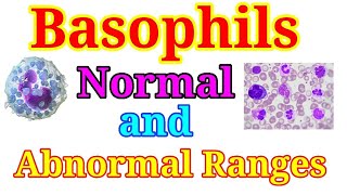 Basophils Normal and Abnormal Ranges [upl. by Zebulon]