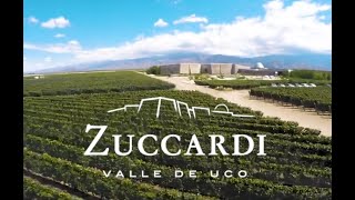 Zuccardi Valle de Uco Mendoza Argentina Vineyards and drone [upl. by Tecu]