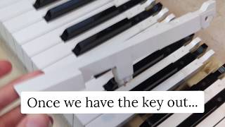 How to fix a key on a digital piano Casio Calviano AP33 [upl. by Haran]