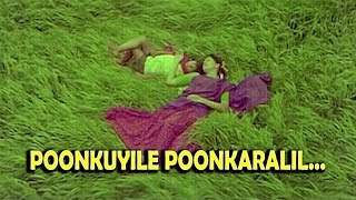 Poonkuyile Poonkaralil   Daddy Malayalam Movie Song  Aravind Swamy  Suresh Gopi  Gouthami [upl. by Blus838]