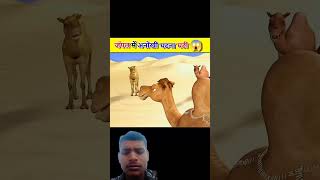 Janal ki anokhi kahani  story comedy funny [upl. by Elatnahs724]