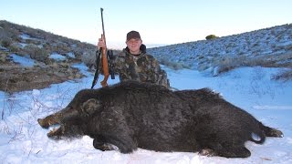 TEJON RANCH YOUTH HUNT [upl. by Worlock]