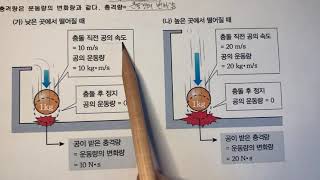 321 충격을 흡수하는 안전장치의 원리통합과학 상주여고 디딤영상 [upl. by Raseda]