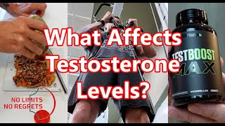 Increasing TESTOSTERONE FOOD Test BOOST Max Exercise amp Dating Testosterone RESULTS [upl. by Imer]