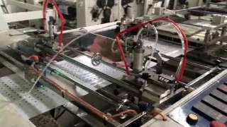 pe side seal zipper bag machine with hole punching for fruit bags [upl. by Ellimahs]