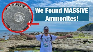 Finding FOSSILS in Lyme Regis Huge Ammonites Fossilised Shells amp Rock pooling [upl. by Enaxor419]