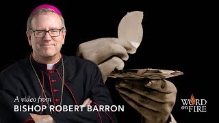 Bishop Barron on Catholics Misunderstanding the Eucharist [upl. by Mllly]