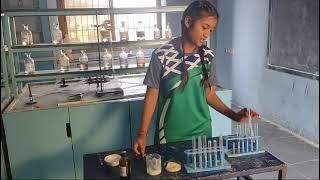 students performing practical checking presence of starch in given food samples [upl. by Nauj]