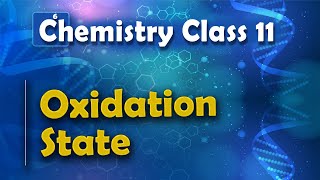 Oxidation State  Periodic table  Chemistry Class 11 [upl. by Nefen]