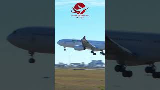 Thrilling Aviation View  Wamos Airs Airbus A330 Landing planespotting aviation portela [upl. by Powers]