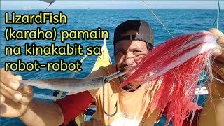 Lizardfish karaho pamain kinakabit sa robotrobot [upl. by Ynafit]