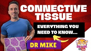 Connective Tissue  Everything you need to know [upl. by Etnuhs500]